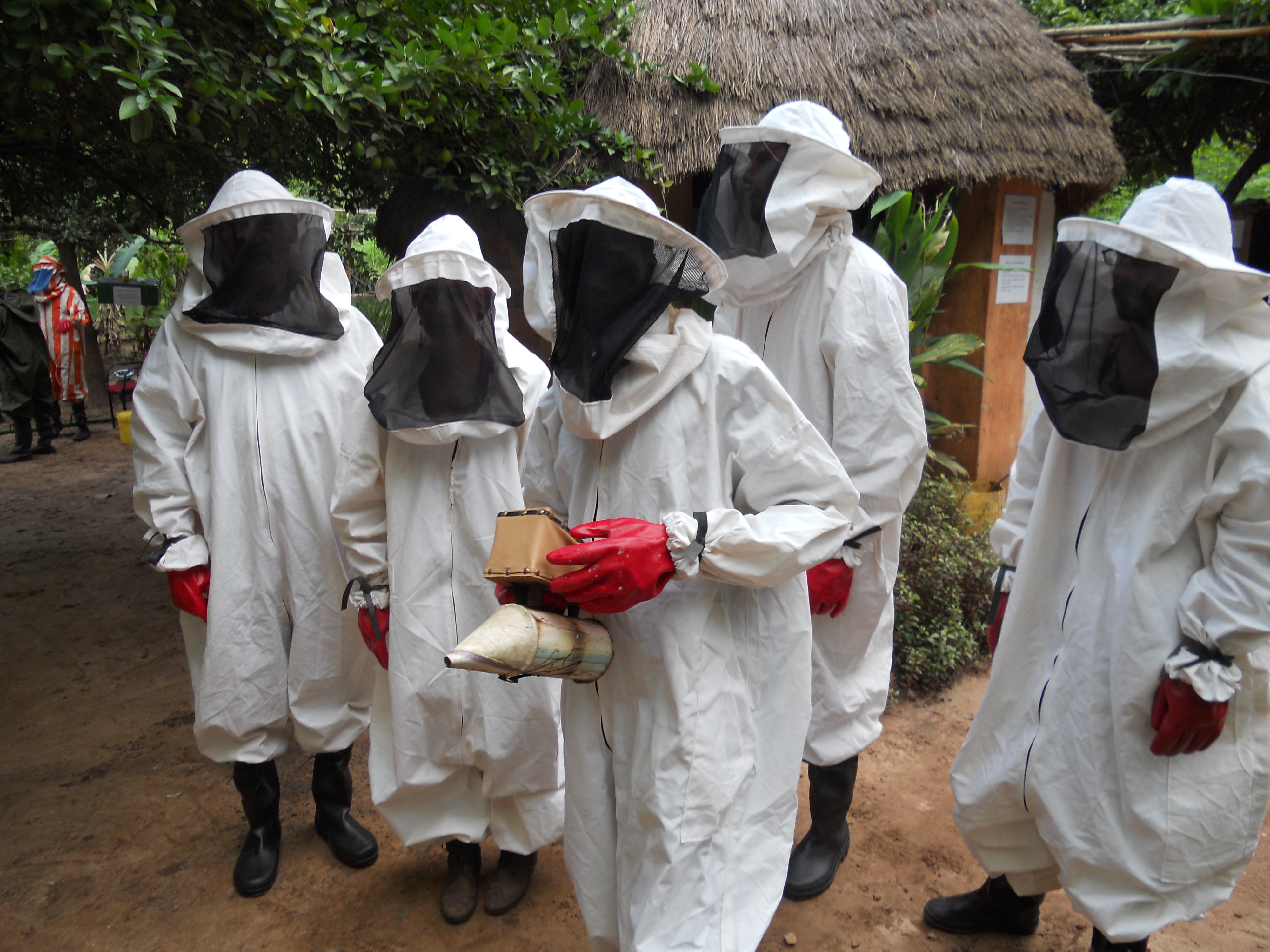 beekeepers in Ghana